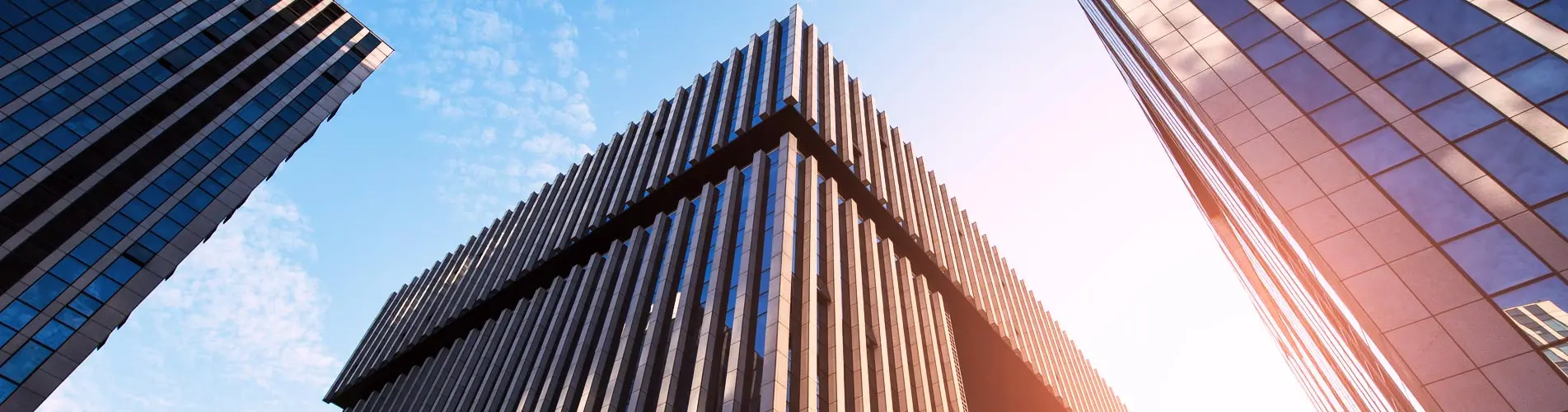 Contact Us Essenled Lighting