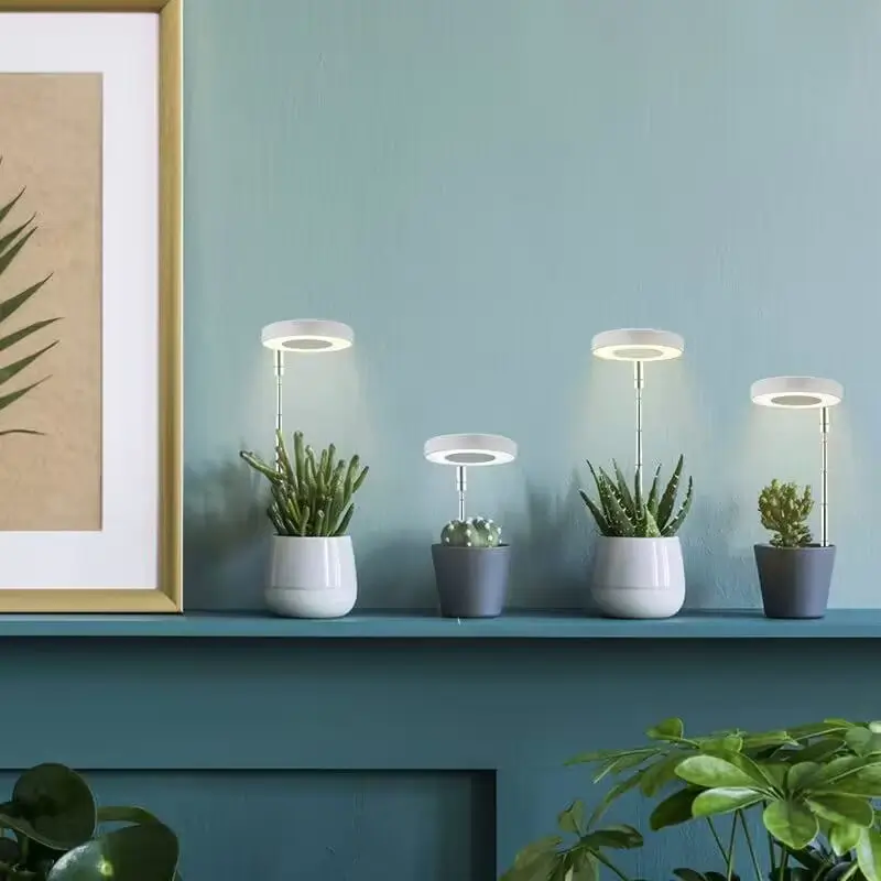 Plant Kweeklampen