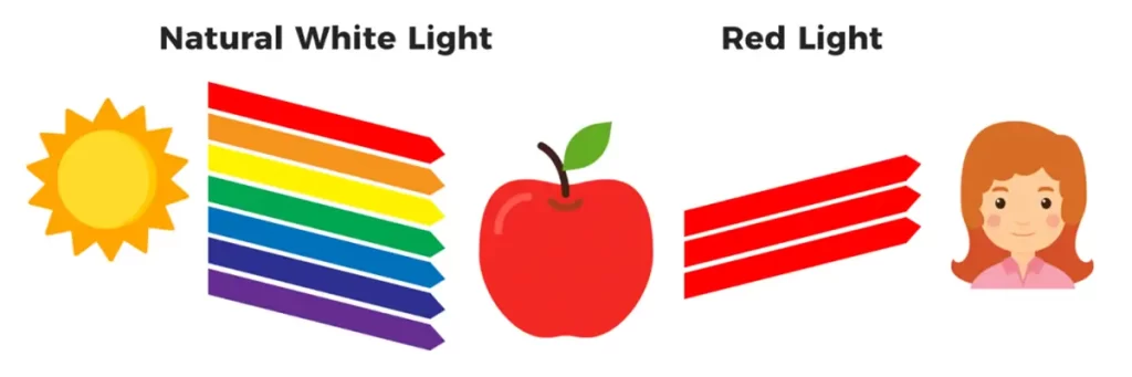 الضوء الطبيعي ما هو مؤشر تجسيد اللون (CRI)