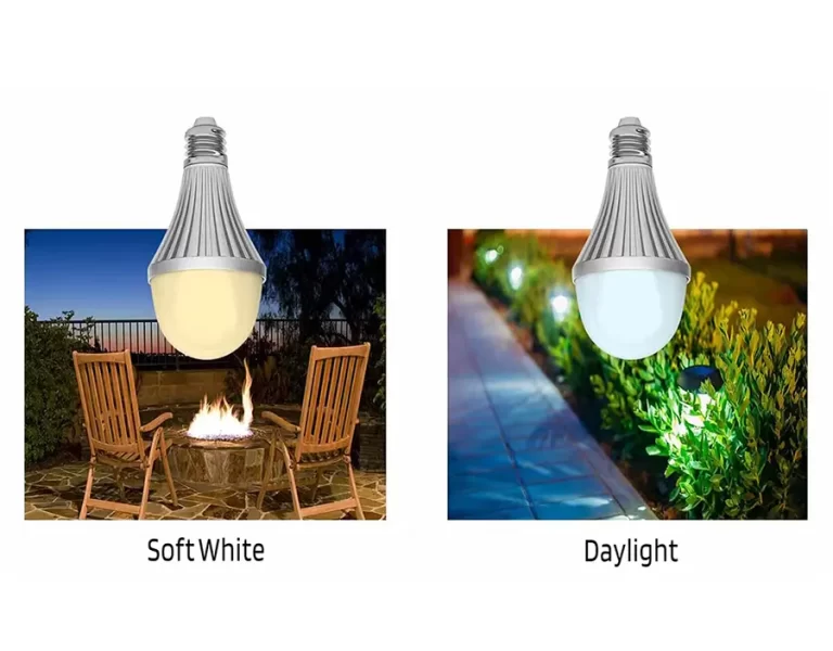 Soft White vs Daylight - Quelle est la différence