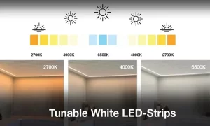 Una guía completa de tiras de luces LED blancas sintonizables