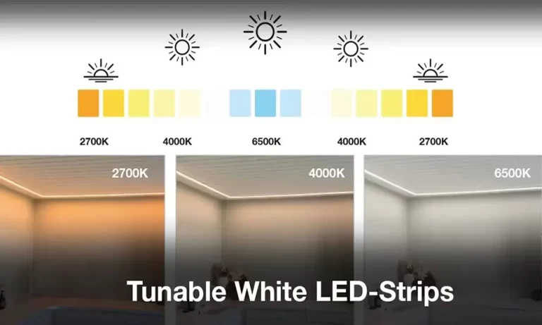 A Complete Guide to Tunable White LED Strip Lights