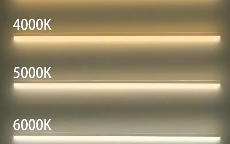5000K vs 6000K color temperature comparison showing daylight white and cool white differences